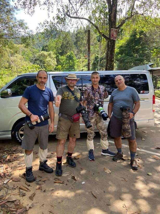 Sri Lanka : Sinharaja Rainforest Guided Trek with Pickup - What the $96 price gives you