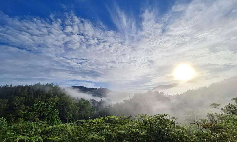 Sri Lanka : Sinharaja Rainforest Guided Trek with Pickup - Pickup from the coast and the ride inland
