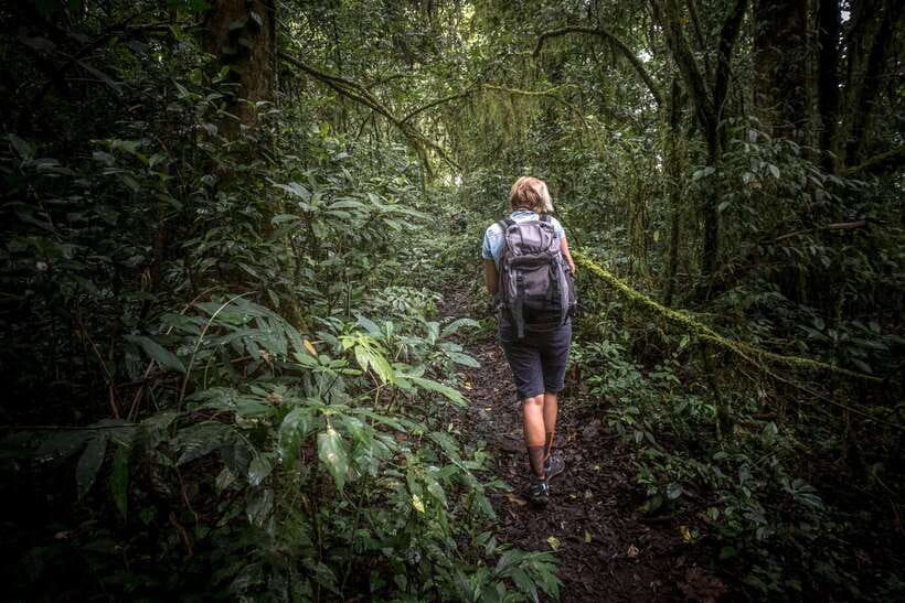 Sri Lanka: Sinharaja rainforest tour from Colombo, Bentota - Key points to know before booking