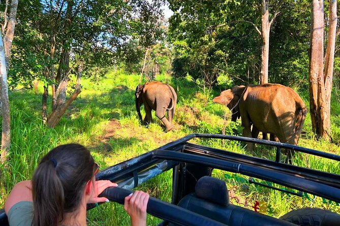 Sri Lanka Tour 06 Nights 07 Days with Hotels & Transport - What the $687 price really covers