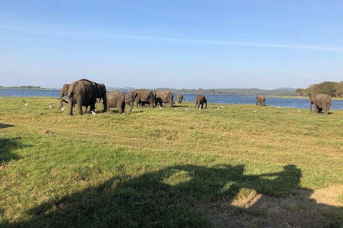 Sri Lanka Tour in 8 Days - Day six: Rawana Ella and a Yala safari