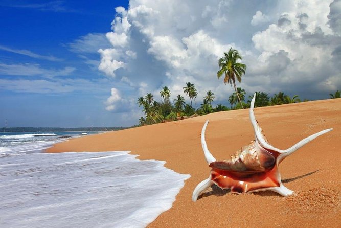 Sri Lanka tour itinerary . 6N/7D with driver, vehicle and H/B accommodations - Day 6: Udawalawe and the cost of a safari