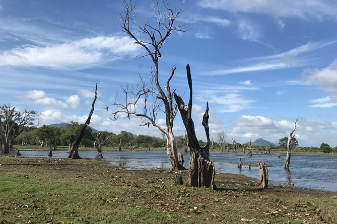 Sri Lanka tours 12-Day wildlife Tour with driver,Car or Van and accommodations - Kandy’s gardens lead into cool Nuwara Eliya