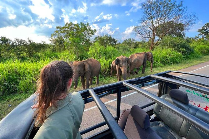 Sri Lanka Travel in 08 Nights 09 Days - Day 2: Sigiriya and a tuk-tuk village visit