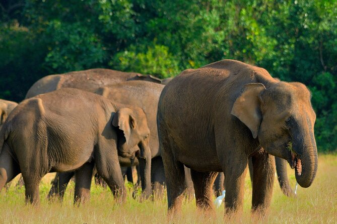 Sri Lanka Unveiled: 12 Nights Complete Experience Package - Key points at a glance