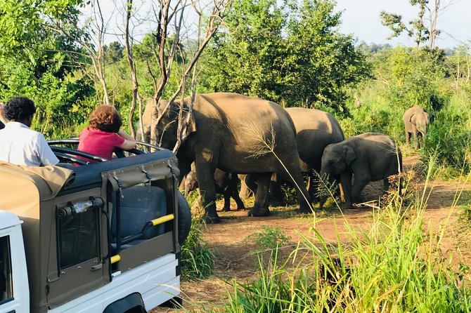 Sri Lanka Wild Life Uniqe Safari 26 - Inside the jeep: comfort, safety, and visibility