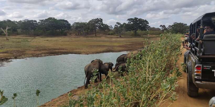 Sri Lanka: Yala National Park Private Safari - Why Yala National Park is worth your time