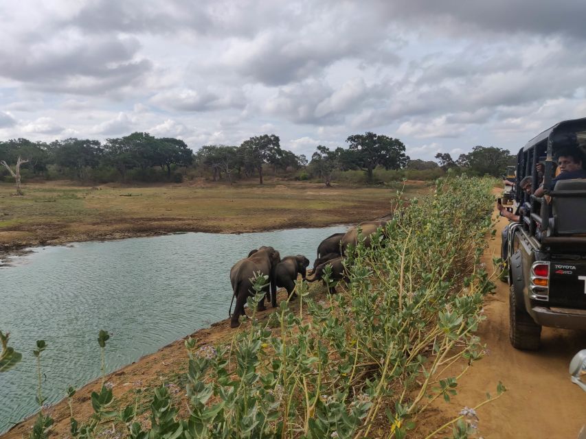 Sri Lanka: Yala National Park Private Safari - What happens during the wildlife drive