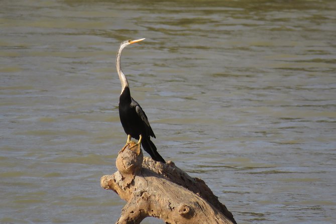 Super Luxury Jeep Safari at Yala National Park - What is included, and what is not