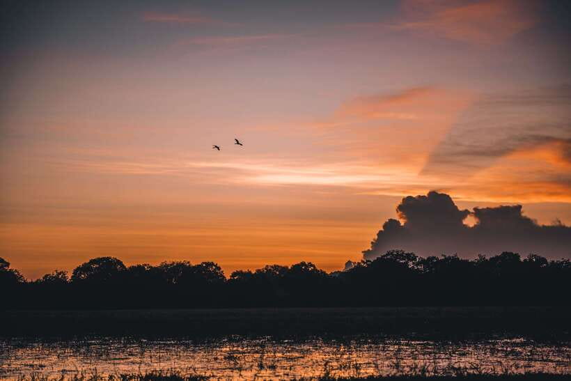 Tangalle/Hiriketiya: Yala National Park Safari in a 4x4 - Key points to know before booking