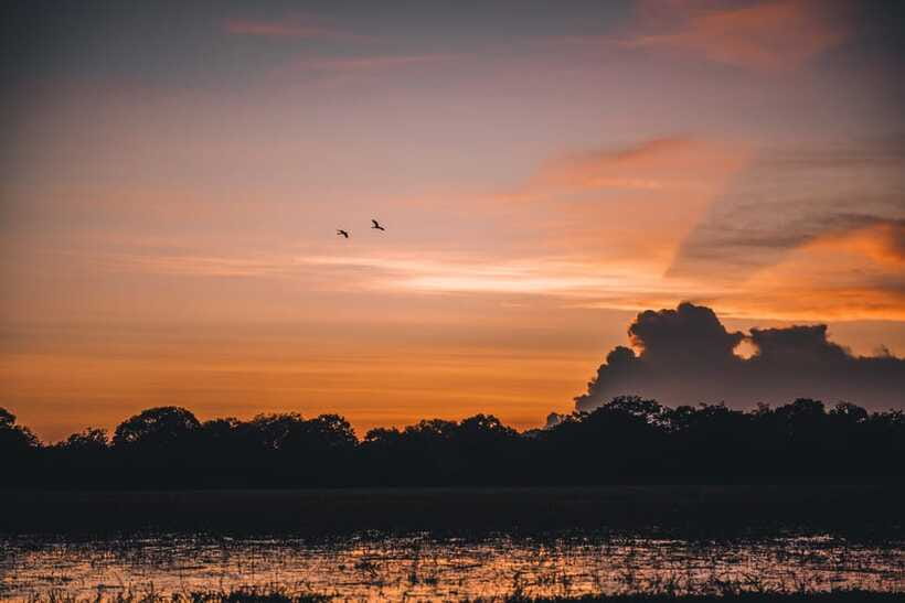 Tangalle/Hiriketiya: Yala National Park Safari in a 4x4 - The animals you may see in Yala