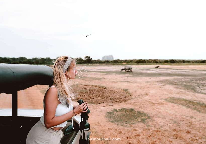 Tangalle/Hiriketiya: Yala National Park Safari in a 4x4 - What the guide can add to your day