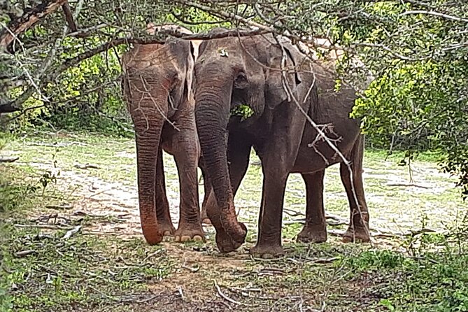 Tangalle to Katunayaka Air Port - The road experience: scenic, but not a planned tour