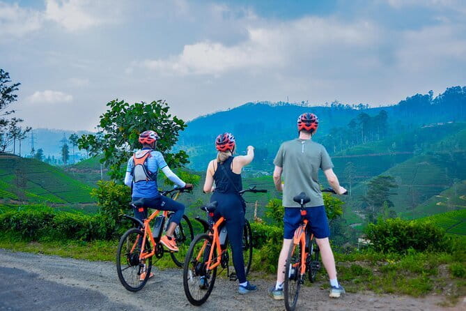 Tea Loops E-Biking - Why an e-bike works so well in Sri Lanka’s tea country