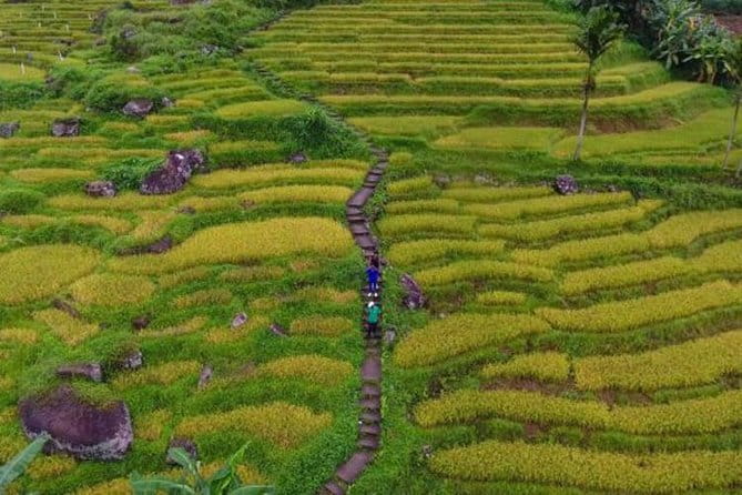 Tea Loops E-Biking - Price, group size, and what you receive