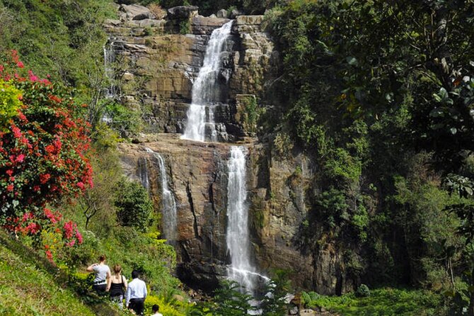 Tea Plucking and Tea Factory: Visit from Nuwara Eliya - Leaving Nuwara Eliya by private vehicle