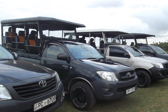 The Best Safari tour from Hambantota Port (Janaka safari) - Key points to know before booking