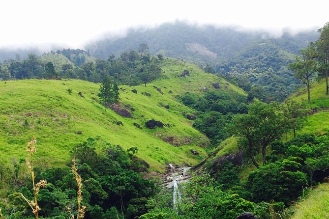 The Most Recommended Round Tour in Sri Lanka - Day 4: Tea country, Ramboda Falls, and old Nuwara Eliya