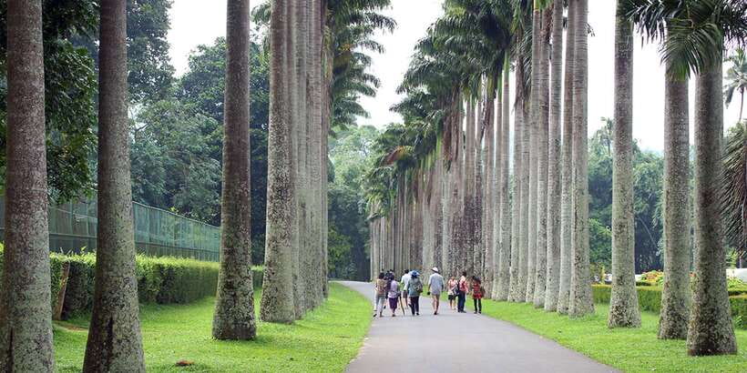 Three Temples Loop In Kandy Day Tour By Tuk Tuk - Why the $10 price can be good value