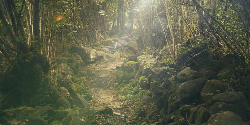 Thrills of Kitulgala - Who should book this day?