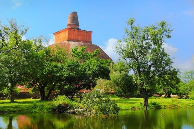 Tour Packages in Sri Lanka - Most Popular Round Tour - All in One Tour - Day 4: village life, cave temples, and Kandy after dark