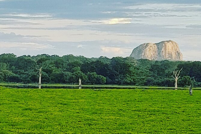 Tours and Transportation in Sri Lanka - Who Will Get the Most From This Experience
