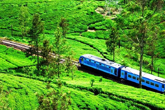 Train Tickets from Nanuoya (NuwaraEliya) to Ella - Key points to know before booking