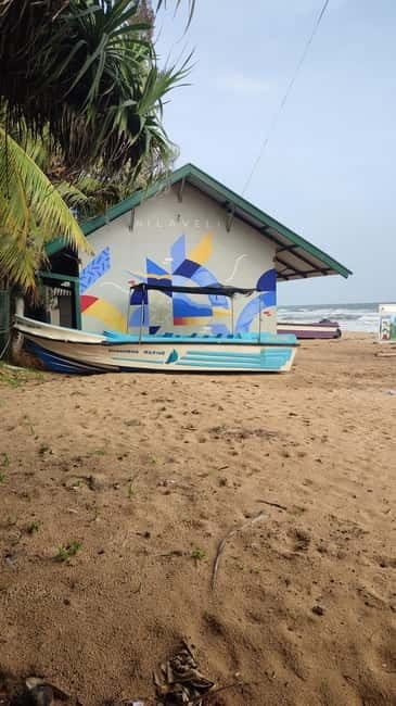 Trincomalee: Dolphin & Whale Watching Boat Tour - Key points before you book