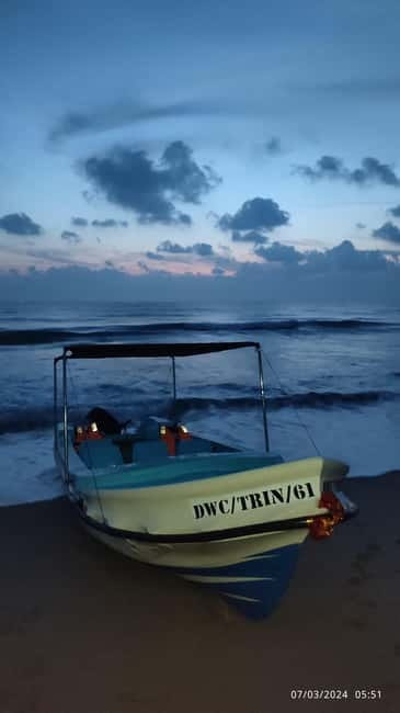 Trincomalee: Dolphin & Whale Watching Boat Tour - What the $40 price really buys