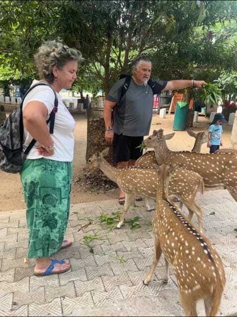 Trincomalee: Tuk-Tuk city tour with a guide - Should you book the Trincomalee tuk-tuk tour?