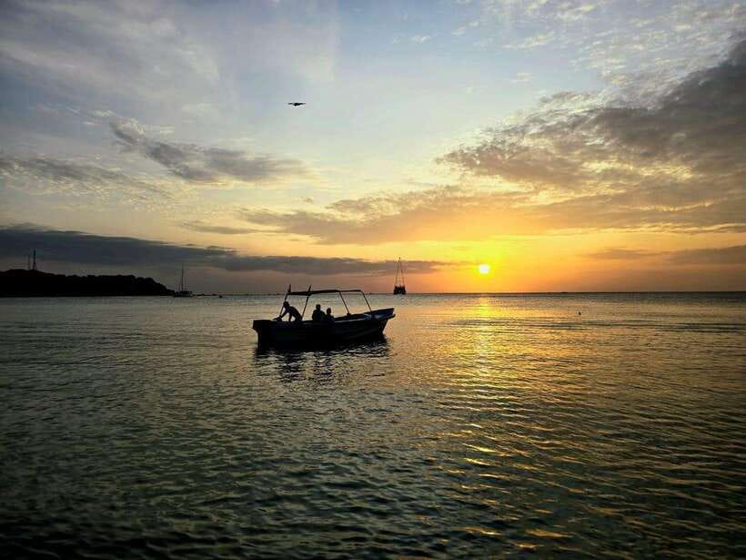 Trincomalee : Whale & dolphin watching +pigeon island tour - Key points to know before booking