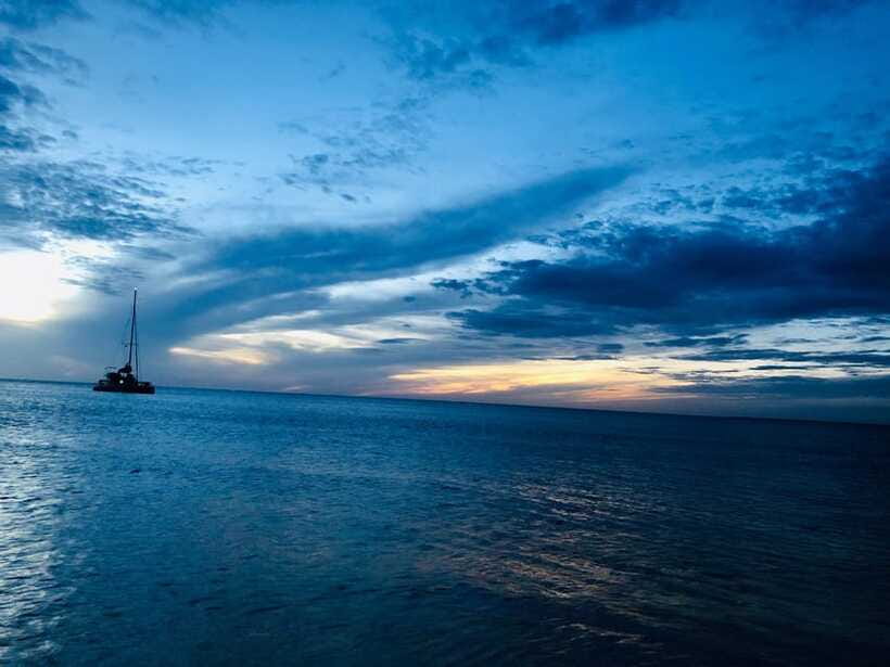 Trincomalee : Whale & dolphin watching +pigeon island tour - Who should book this Trincomalee outing?