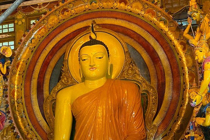 Tuk Tuk Private Safari Tour Exploring Sri Lanka's Capital Colombo - Why a tuk tuk is a smart way to see Colombo
