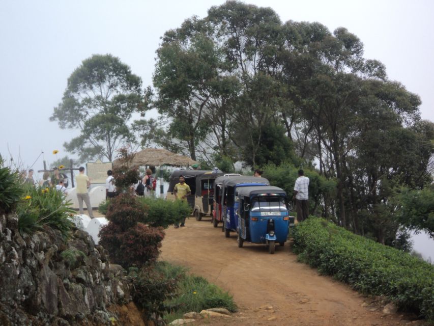 Tuk-Tuk Safari Liptons seat,Tea Fields Hike,TeaFactory Tour - A countryside picnic with a practical backup