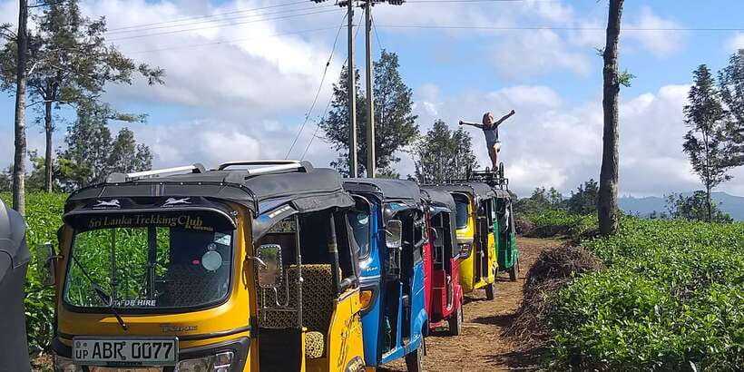 Tuk-Tuk Safari Liptons seat,Tea Fields Hike,TeaFactory Tour - What the guide adds to the day