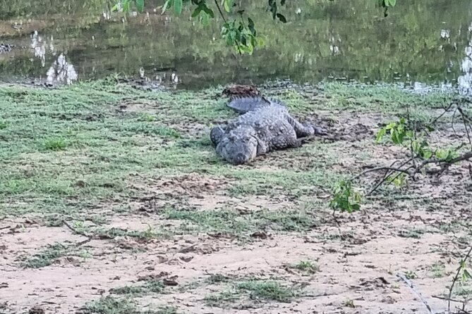 Udawalawa National Park Day Tour - Who will enjoy this day trip most