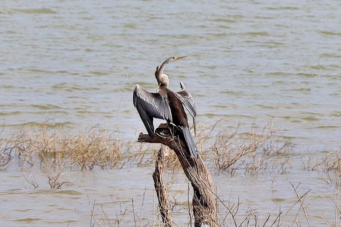 Udawalawa National Park half day Safari - Price and value at $85