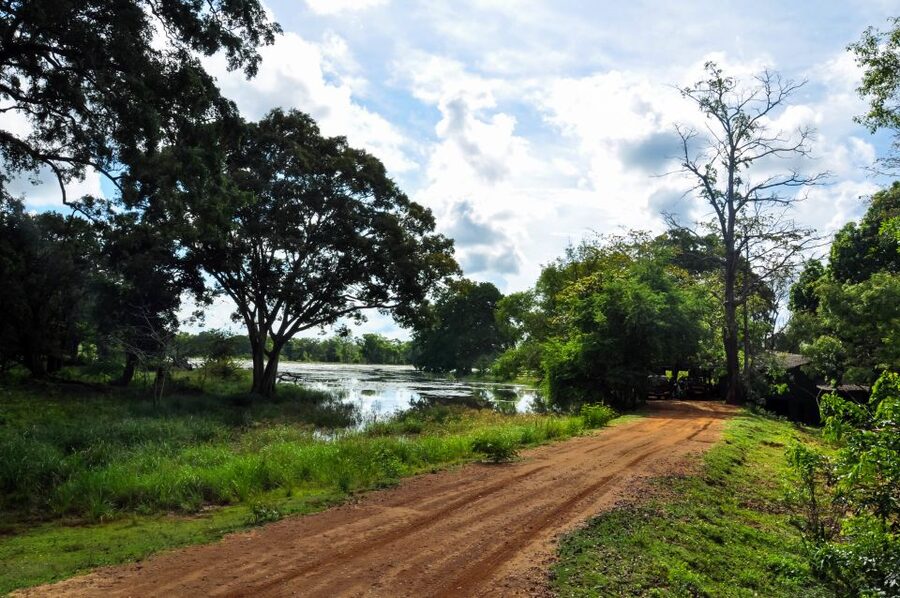 Udawalawa National Park: Private Safari - Who will get the most from this safari