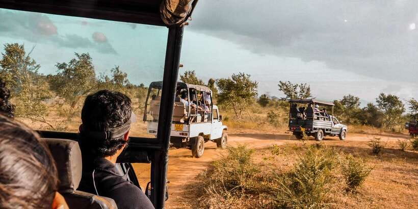 Udawalawa National Park: Private Safari - Why Udawalawe works so well for elephant watching