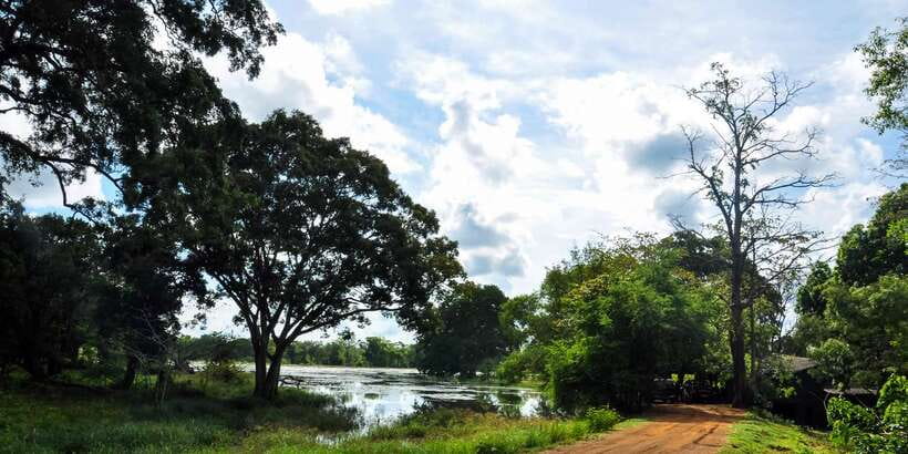 Udawalawa National Park: Private Safari - A private group, with a practical limit of six
