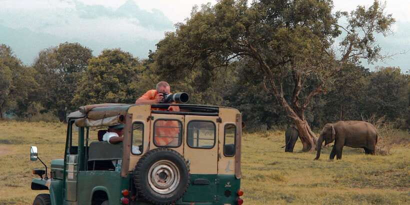 Udawalawa National Park: Private Safari - The real cost: $25 plus the park ticket