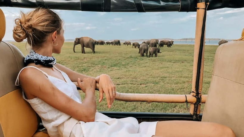 UDAWALAWA SAFARI TOUR from HAMBANTOTA PORT (Shore Excursion) - What the $51 price really includes