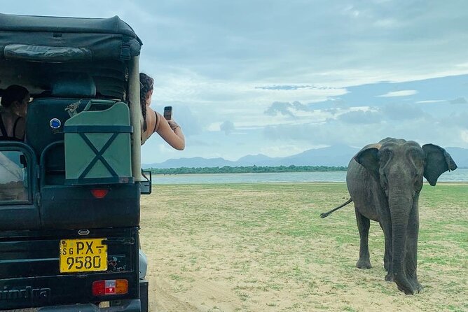 Udawalawe National Park Day trip - Five Things to Know Before You Go