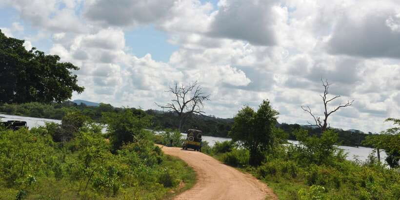 Udawalawe National Park Private Full-Day Safari - The guide is the difference between driving and tracking