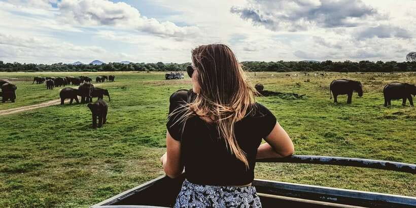 Udawalawe: National park safari & Elephant Transit Home Tour - Starting at 6 a.m. or later