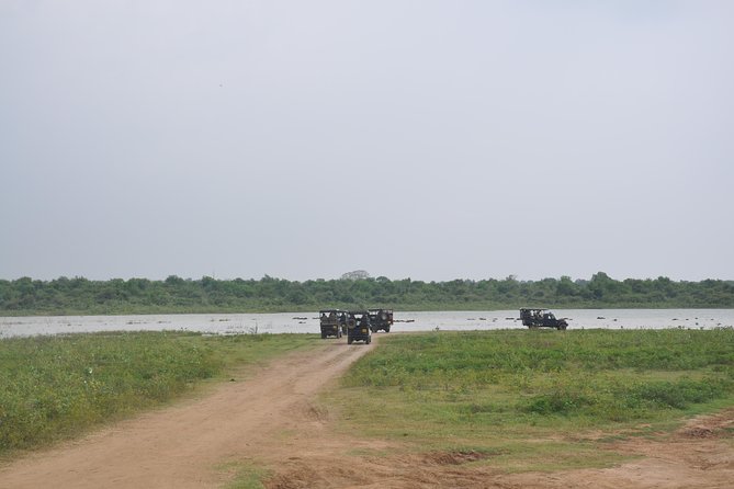 Udawalawe National Park Safari from Bentota - What the $137 price really buys