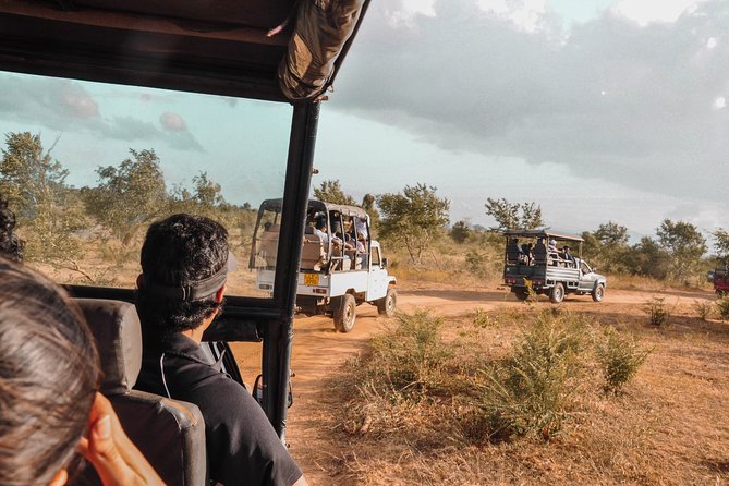 Udawalawe National Park Safari from Galle - Booking, cancellation, and practical checks