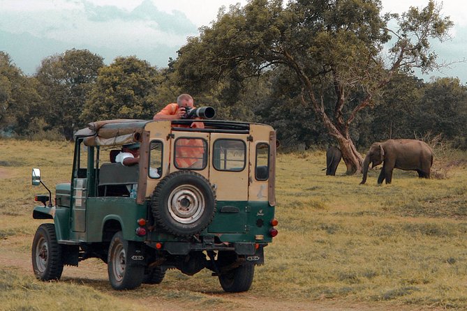 Udawalawe National Park Safari from Mirissa - Elephants are the strongest reason to go