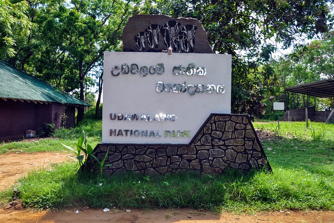 Udawalawe National Park Safari from Unawatuna - Why the Private Vehicle Helps