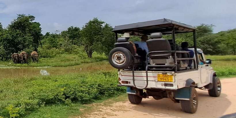 Udawalawe National Park Safari Tour - Starting the day with pickup and breakfast